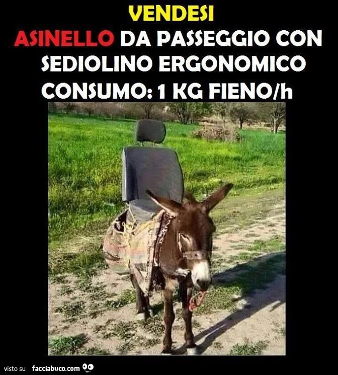 Vendesi asinello da passeggio con sediolino ergonomico