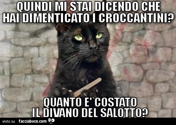 Quindi mi stai dicendo che hai dimenticato i croccantini? Quanto è costato il divano del soggiorno?