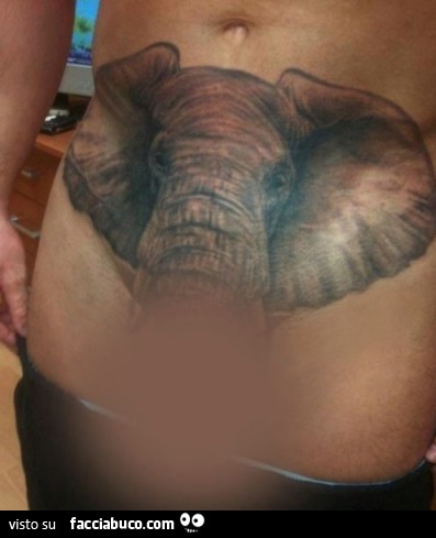 Uomo con testa di elefante tatuata sulla pancia, e la proboscide è...