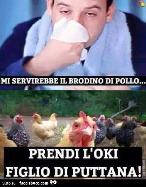 Mi servirebbe il brodino di pollo. Prendi l'oki figlio di puttana