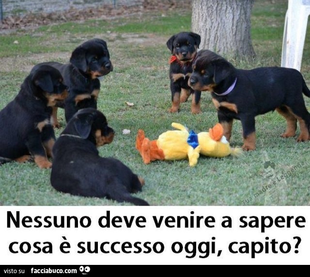 Nessuno deve venire a sapere cosa è successo oggi, capito?