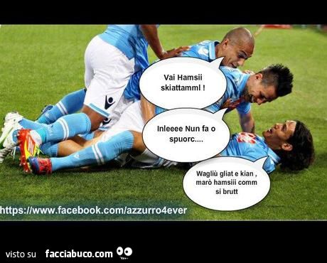 Vai Hamsii skiattamml! Inleeee nun fa o spuorc… Wagliù gliat e kian marò hamsiii comm si brutt