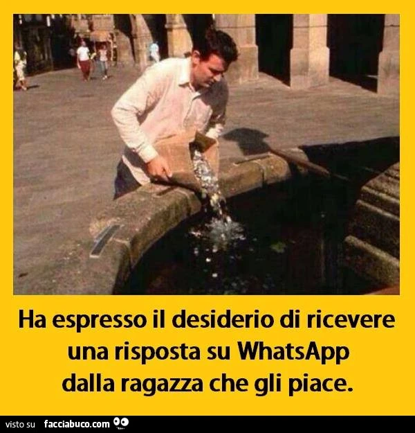 Ha espresso il desiderio di ricevere una risposta su WhatsApp dalla ragazza che gli piace