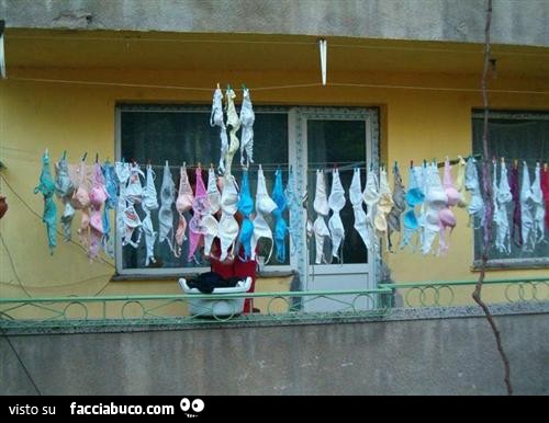 Risultati immagini per reggiseni stesi