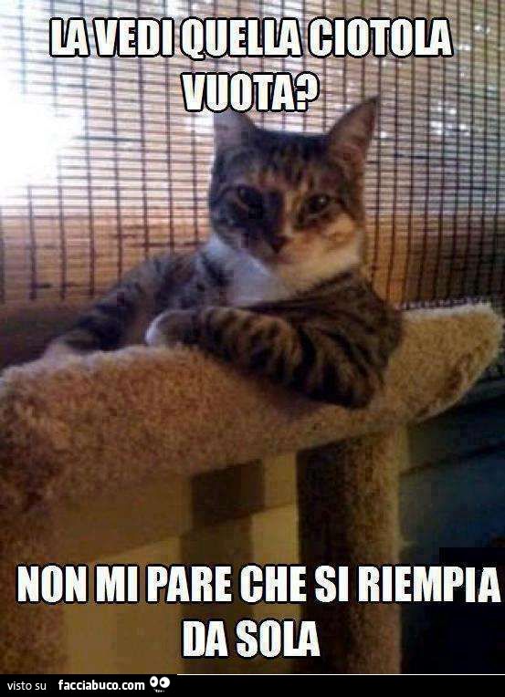 5613112035-la-vedi-quella-ciotola-vuota-