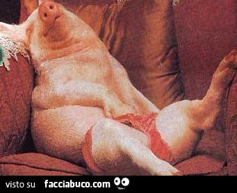 Porcelletto sbragato sul divano