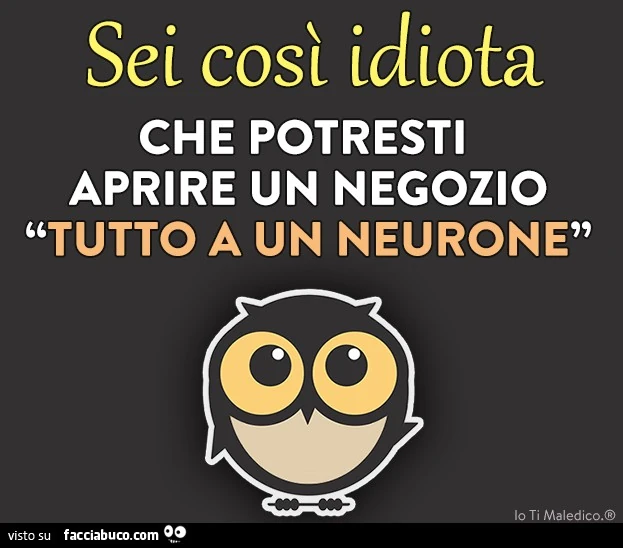 Sei così idiota che potresti aprire un negozio "tutto a un neurone"