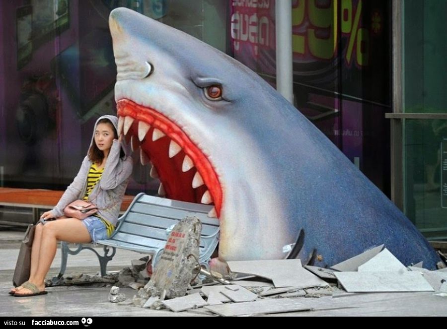 Donna seduta su una panchina, con uno squalo che esce alle spalle dall'asfalto