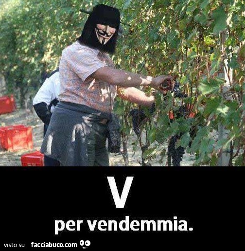 V per vendemmia