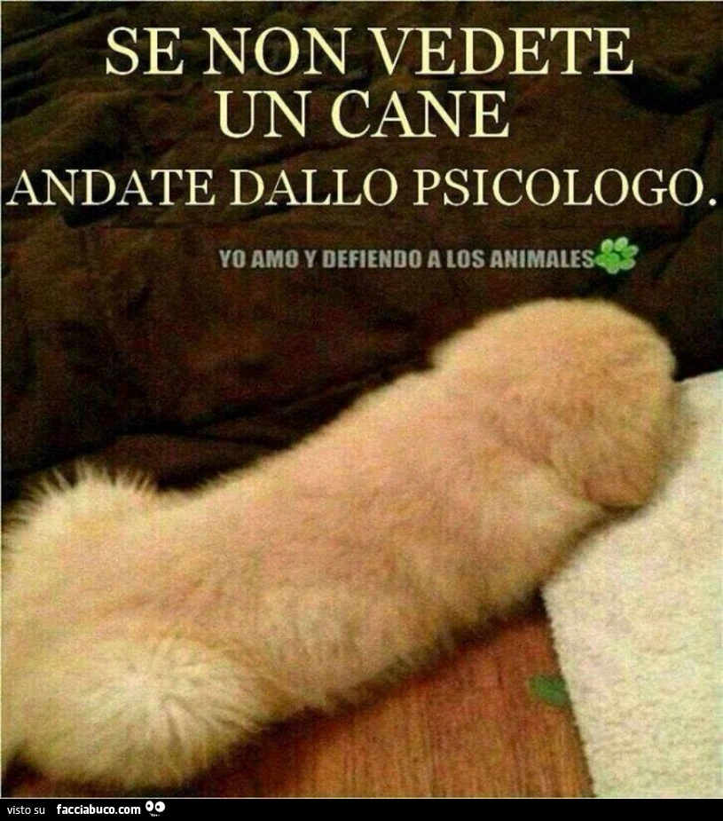 Se non vedete un cane, andate dallo psicologo