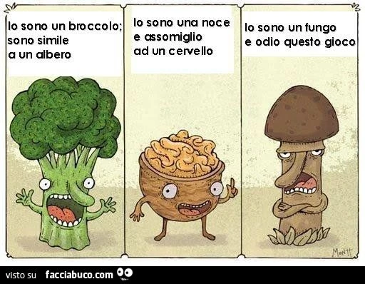 Io sono un broccolo: sono simile a un albero. Io sono una noce e assomiglio ad un cervello. Io sono un fungo e odio questo gioco