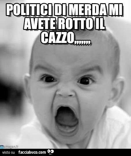 Politici di merda mi avete rotto il cazzo
