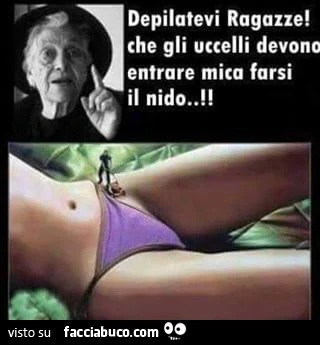 Depilatevi ragazze! Che gli uccelli devono entrare, mica farsi il nido