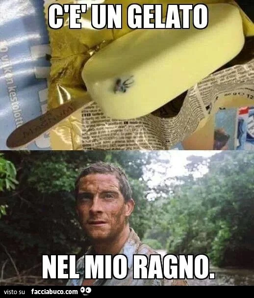 C'è un gelato nel mio ragno