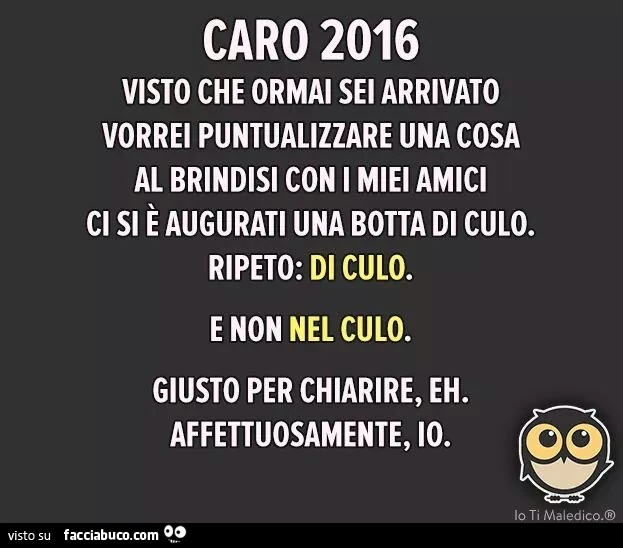 Caro 2016 visto che ormai sei arrivato vorrei puntualizzare una cosa al brindisi con i miei amici ci si è augurati una botta di culo e non nel culo