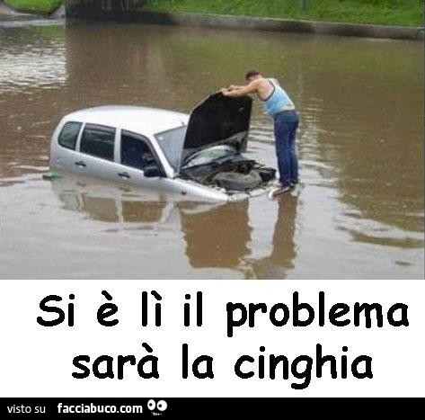 Si E Li Il Problema Sara La Cinghia Facciabuco Com