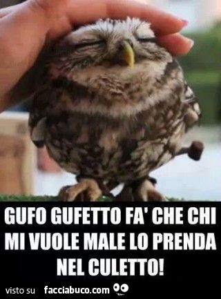 Gufo gufetto fà che chi mi vuole male lo prenda nel culetto
