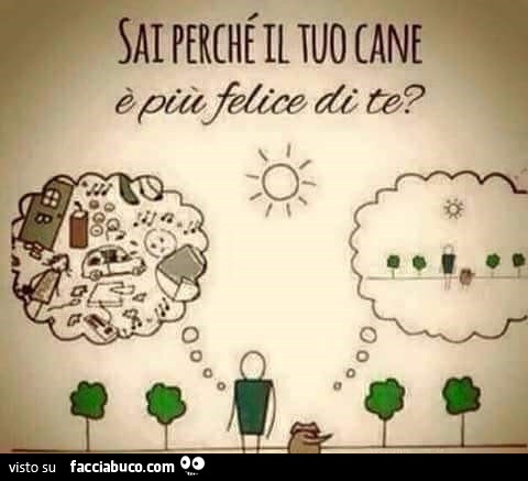 Sai perché il tuo cane è più felice di te? Perché è spensierato