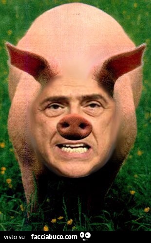 Berlusconi fotomontaggio maiale