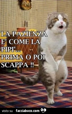 La pazienza è come la pipì&hellip; prima o poi scappa