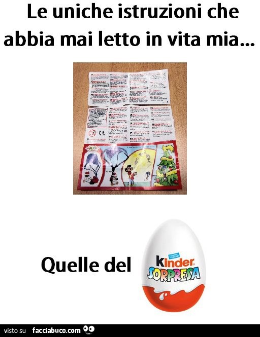 Le uniche istruzioni che abbia mai letto in vita mia. Quello del Kinder sorpresa