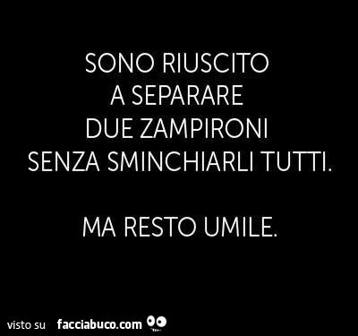 sono riuscito a separare due zampironi senza sminchiarli tutti. Ma resto umile!