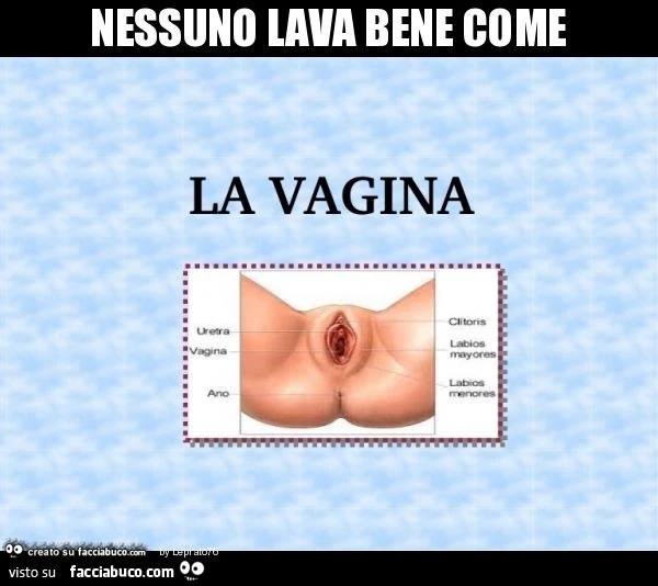 Nessuno lava bene come la vagina