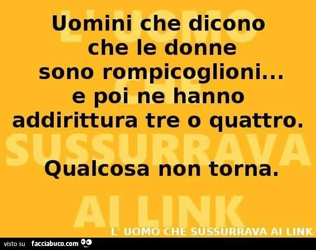 Uomini che dicono che le donne sono rompicoglioni... e poi ne hanno addirittura tre o quattro. Qualcosa non torna