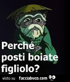 Vaccata